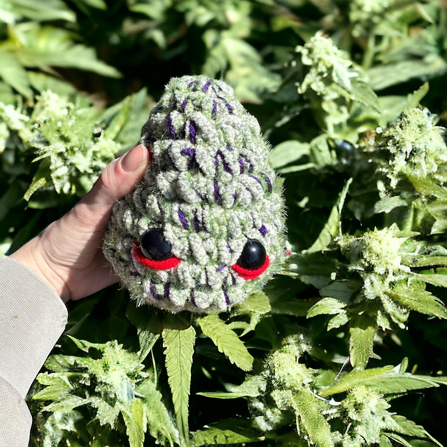 Doug The Nug - White Widow