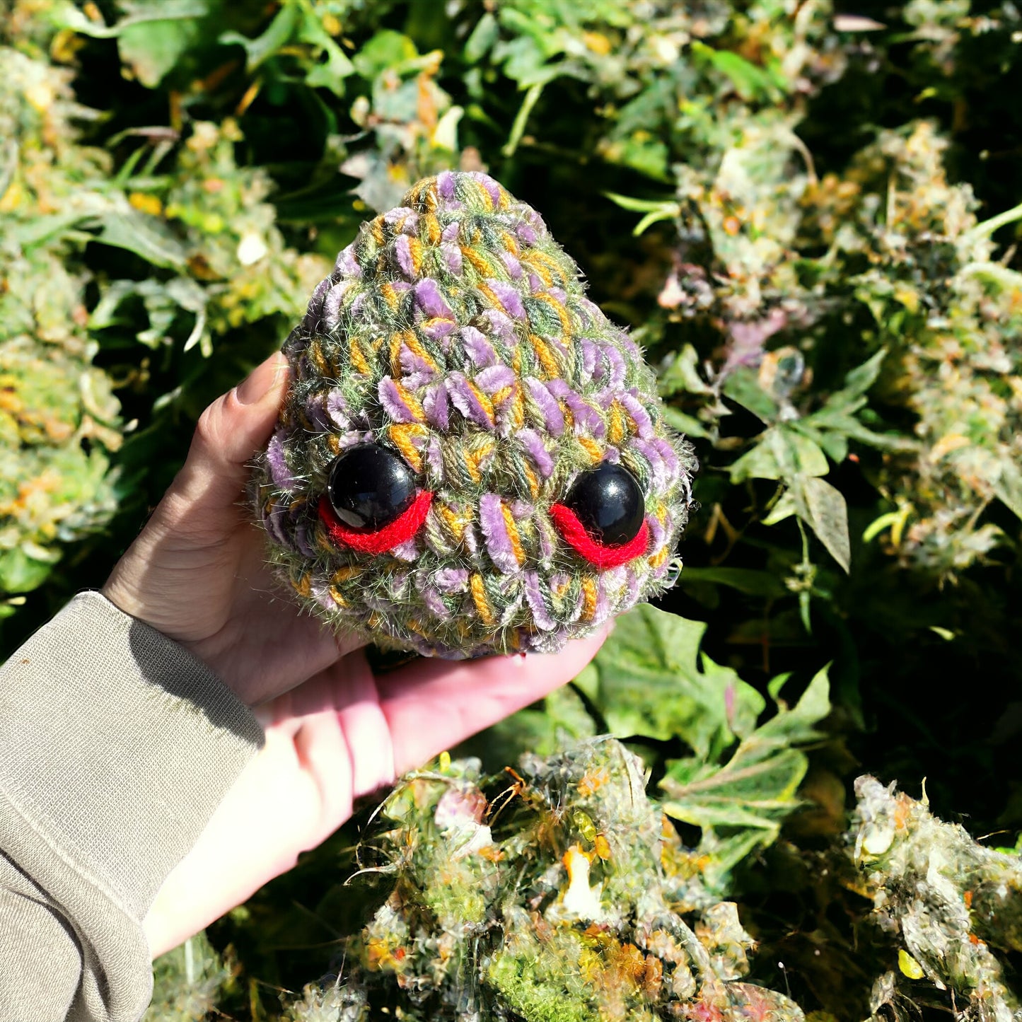 Doug The Nug - Northern Lights