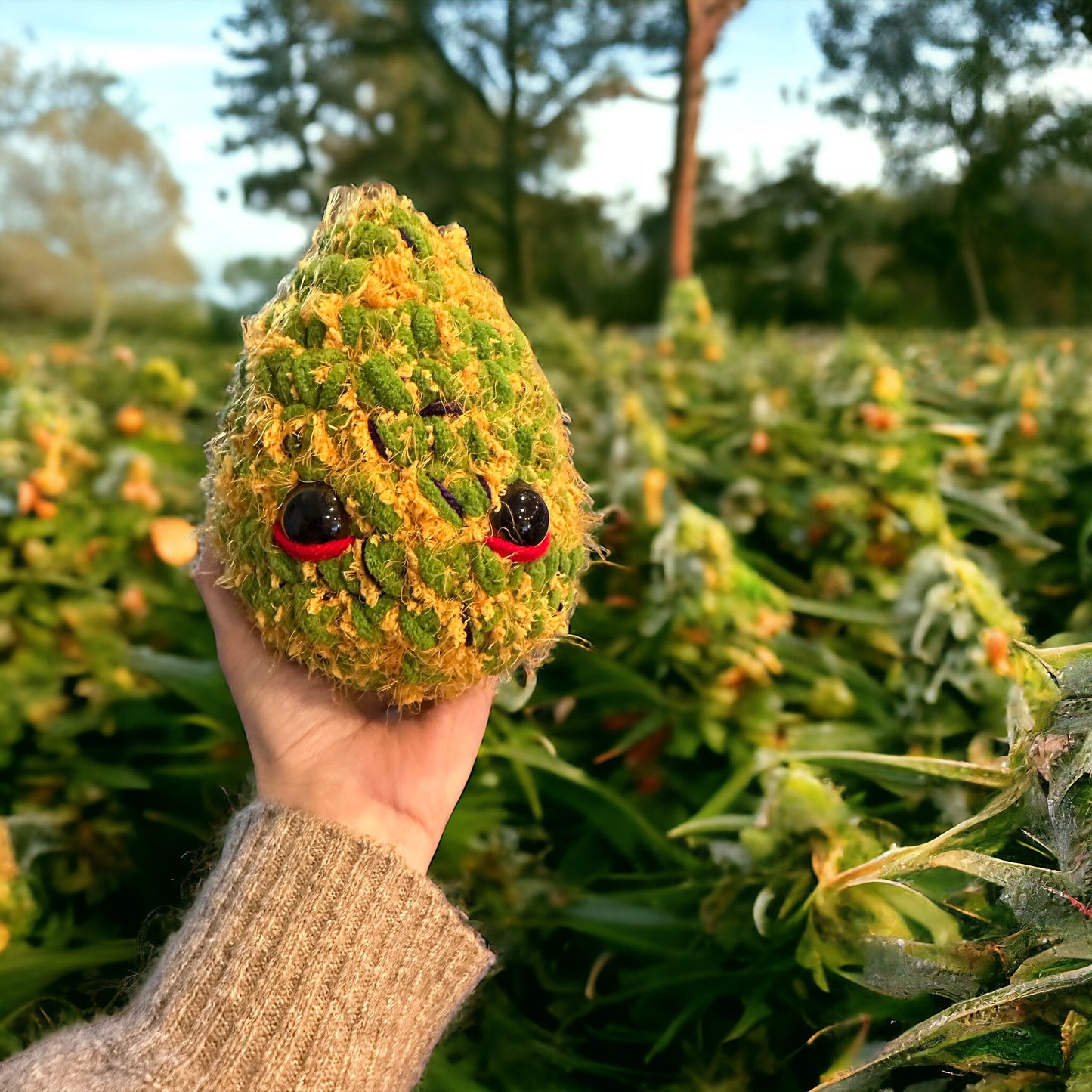 Doug The Nug - Acapulco Gold