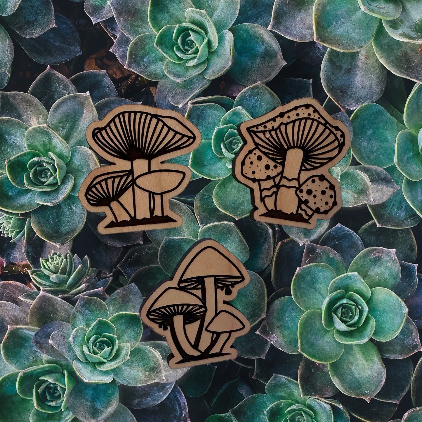 Mushroom Magnet Set