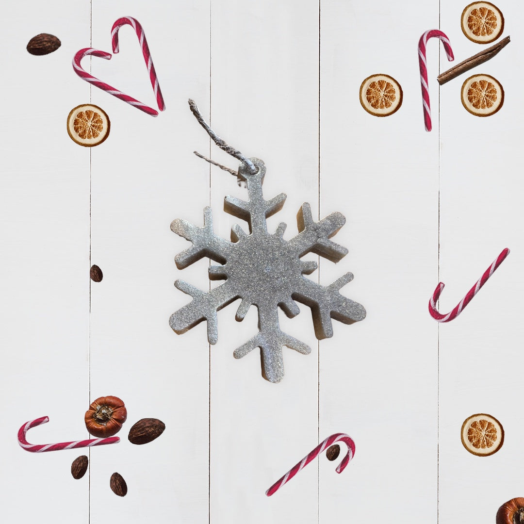 Warm Space Silver Snowflake Ornament