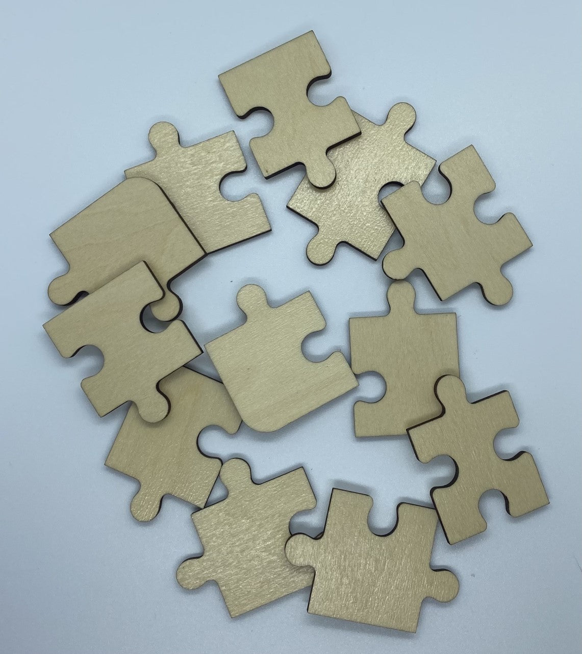Paint Your Own Mini Puzzle - Large Pieces!